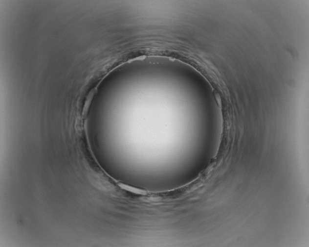 X0000112530419200908171425
