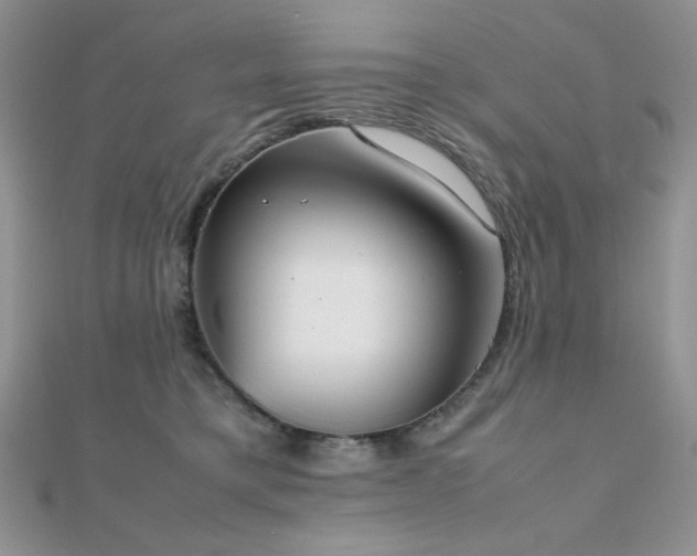 X0000112530421200908171425