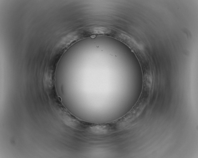 X0000112530422200908171425