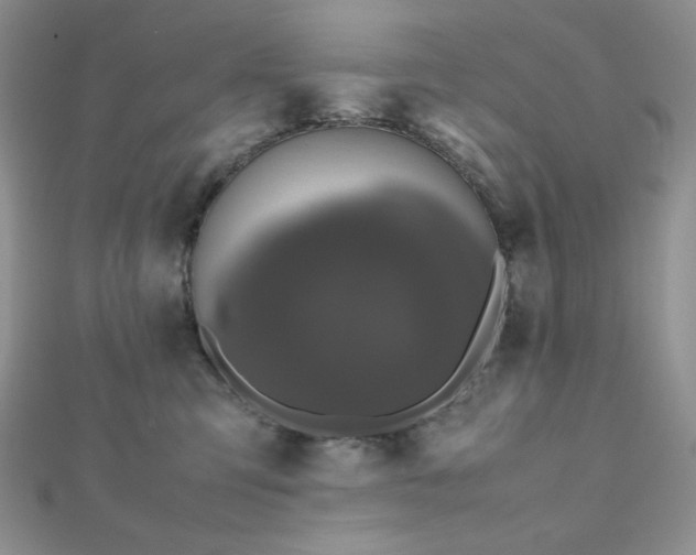 X0000112530423200908171425