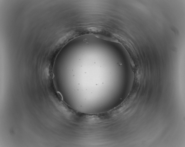 X0000112530424200908171425