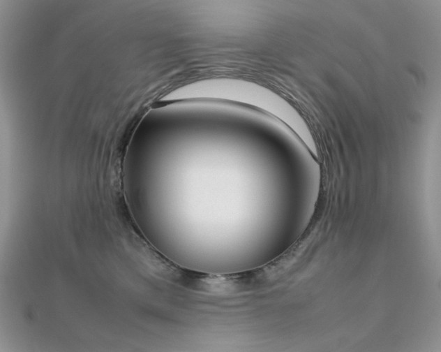X0000112530425200908171425