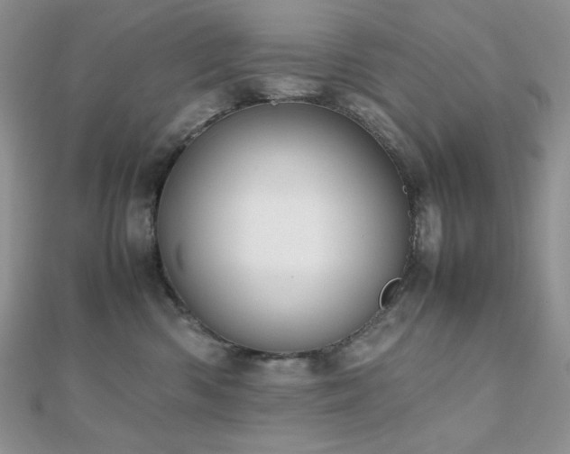 X0000112530426200908171425