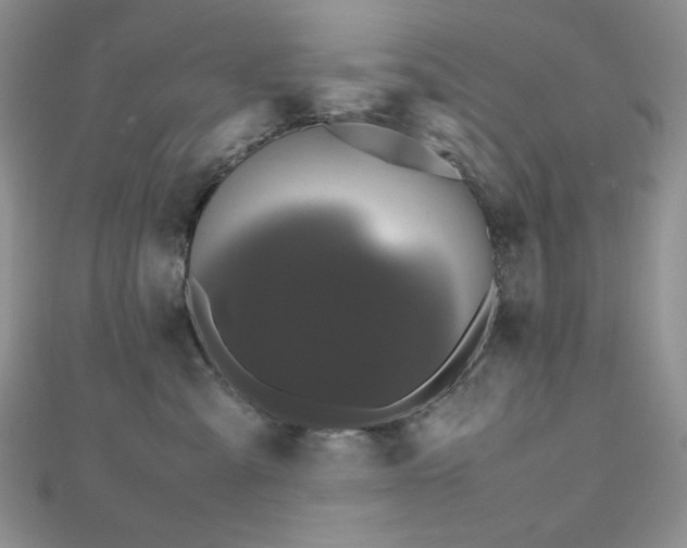 X0000112530427200908171425