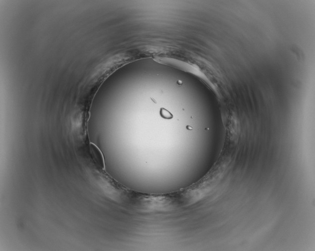 X0000112530428200908171425