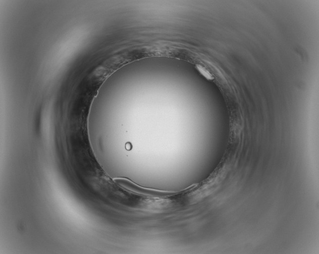 X0000112530429200908171425