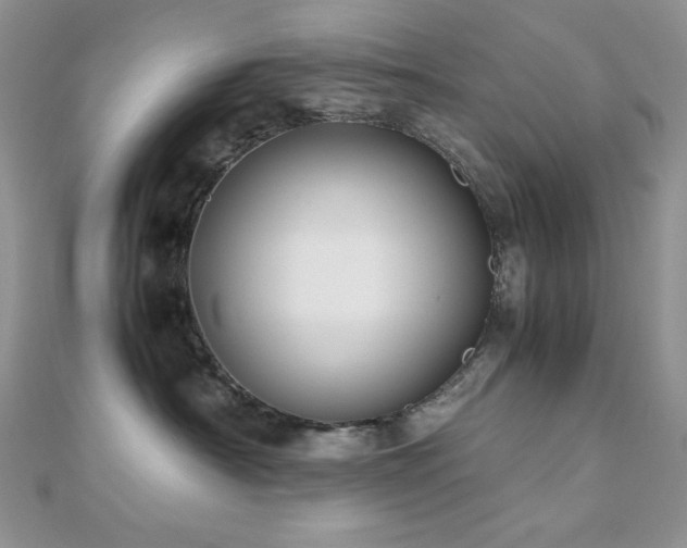 X0000112530430200908171425