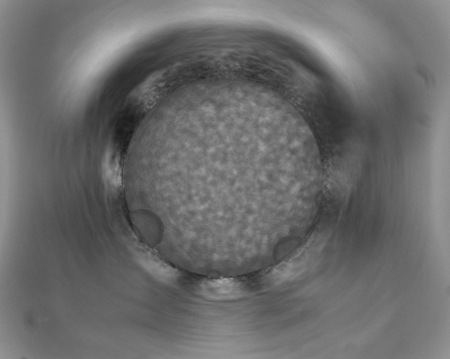 X0000112530431200908171425