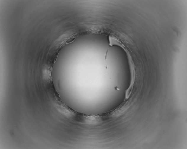 X0000112530432200908171425
