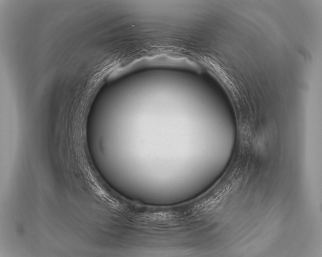 X0000112530433200908171424
