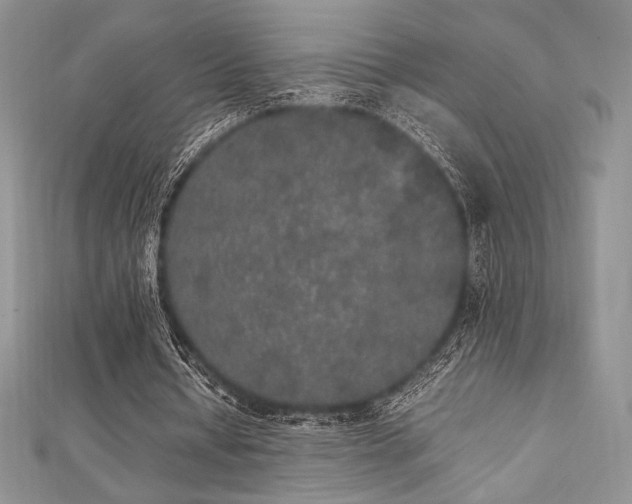 X0000112530434200908171424