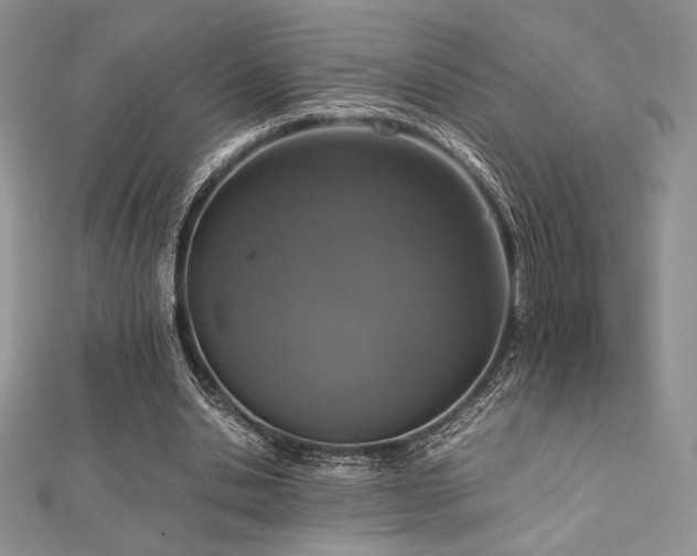 X0000112530438200908171424