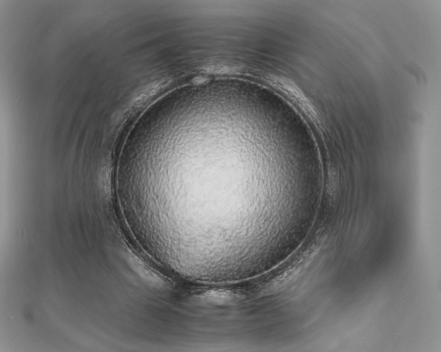 X0000112530441200908171424