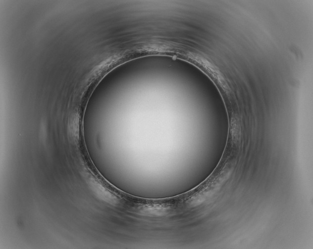 X0000112530445200908171424