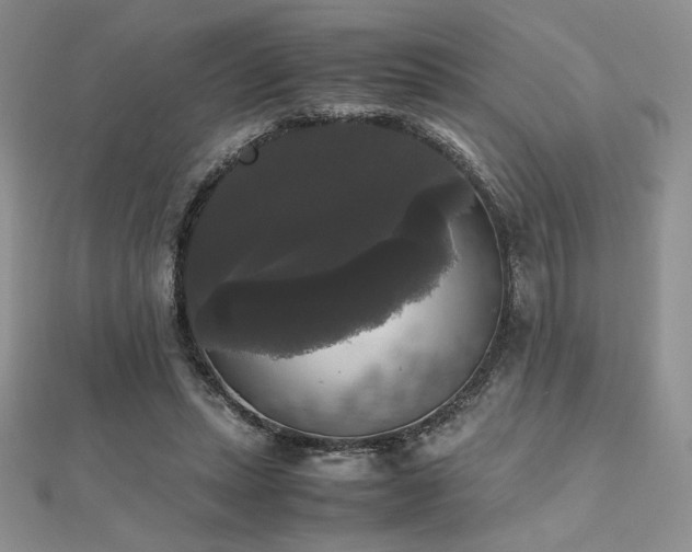 X0000112530447200908171424