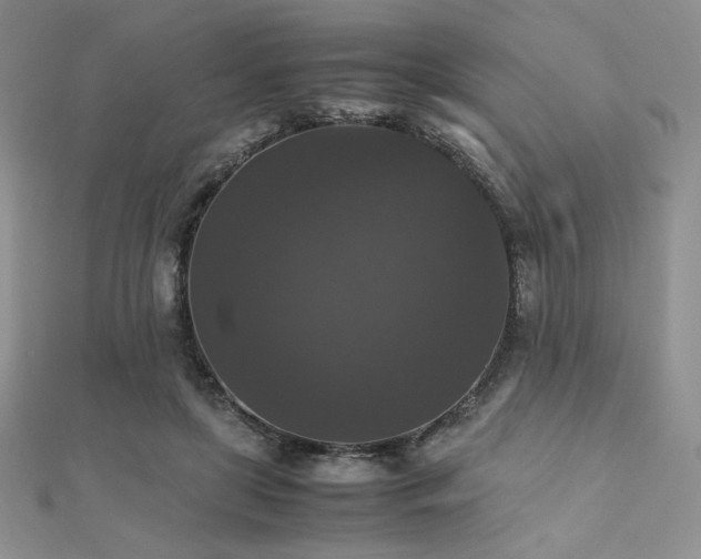 X0000112530451200908171424