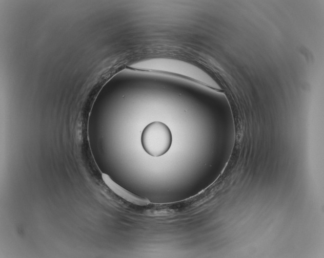 X0000112530452200908171424