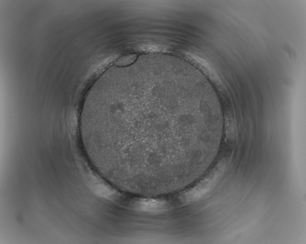 X0000112530453200908171424