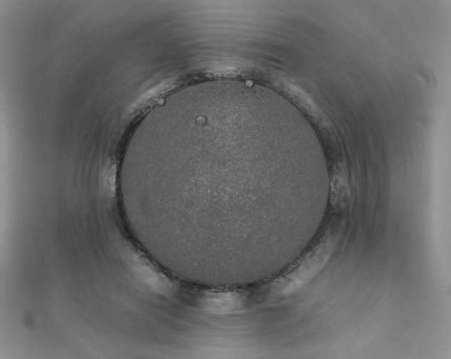 X0000112530454200908171424