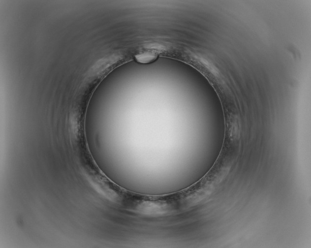 X0000112530455200908171424