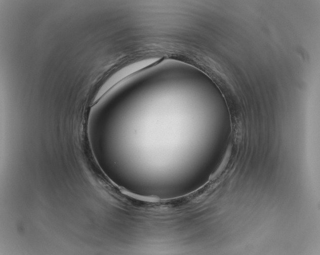 X0000112530456200908171424