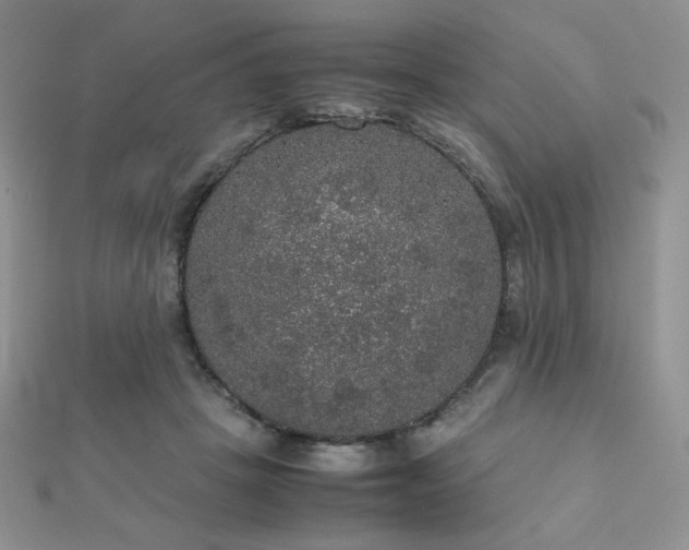 X0000112530457200908171424