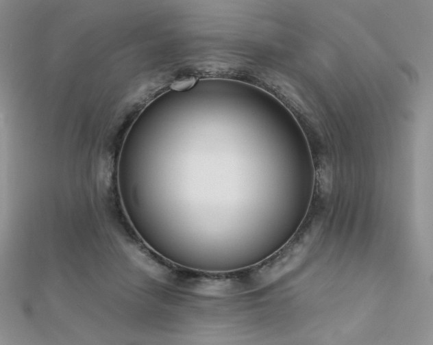 X0000112530458200908171424