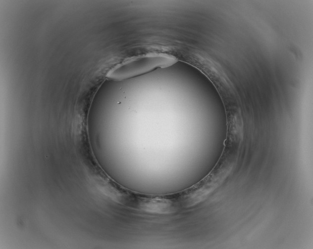 X0000112530463200908171424