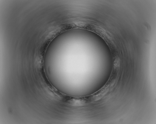 X0000112530464200908171424