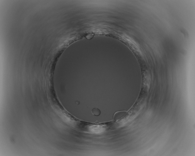 X0000112530465200908171424