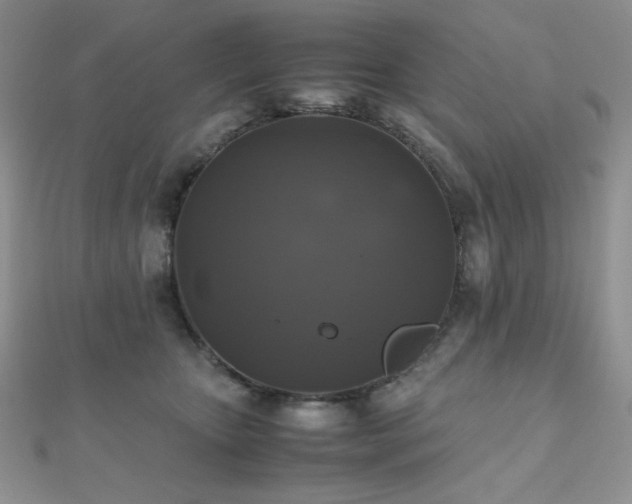 X0000112530467200908171424