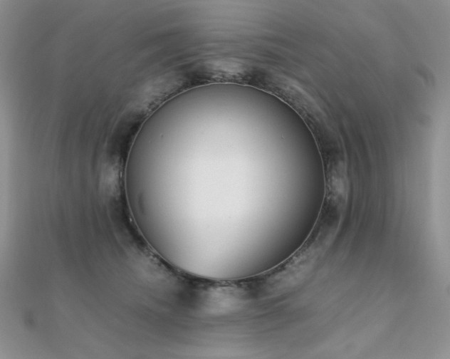 X0000112530468200908171424