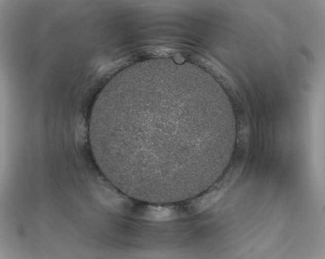 X0000112530469200908171424