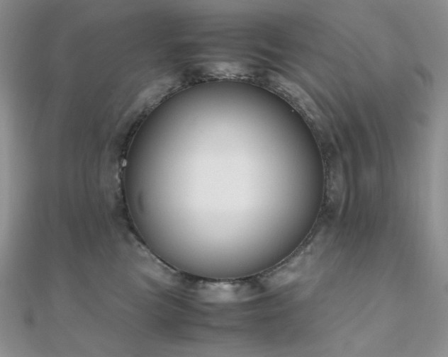 X0000112530473200908171424