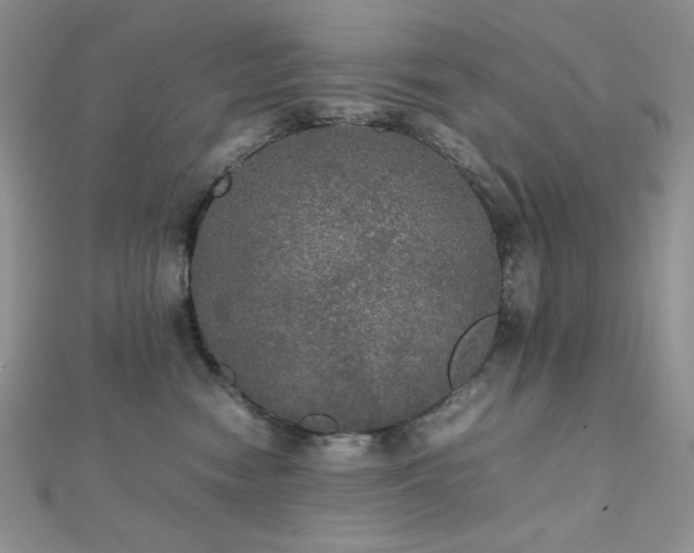 X0000112530474200908171424