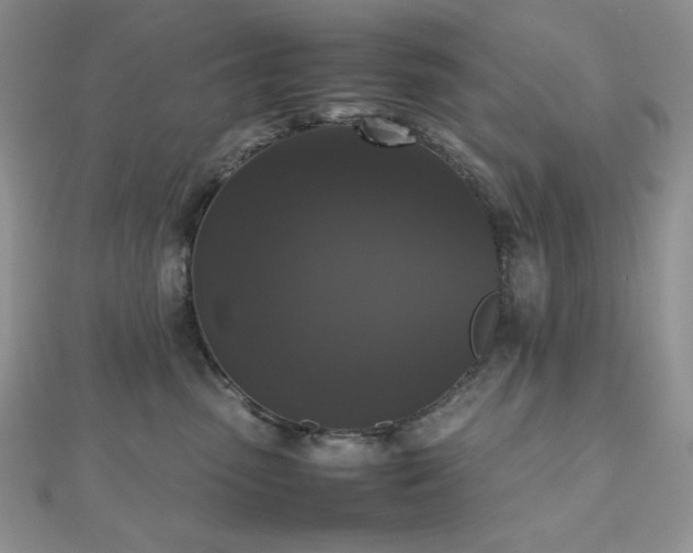 X0000112530475200908171424