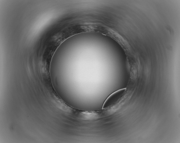 X0000112530477200908171424