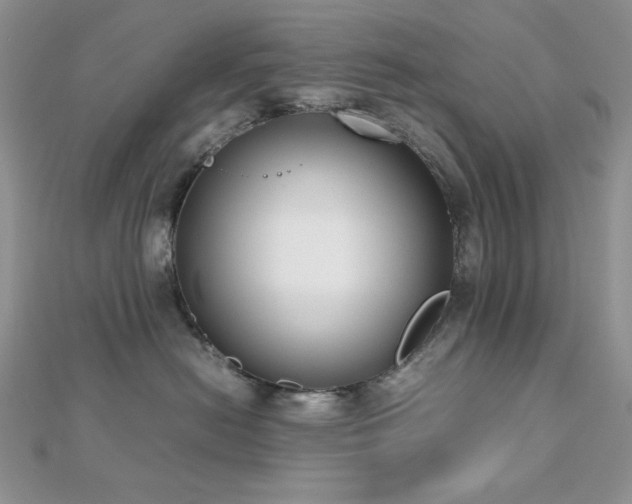 X0000112530478200908171424