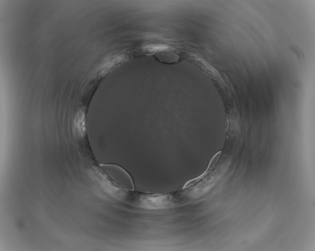 X0000112530479200908171425