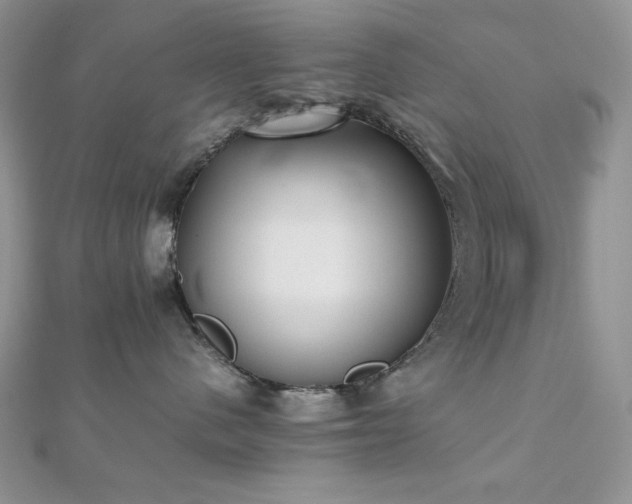 X0000112530480200908171425