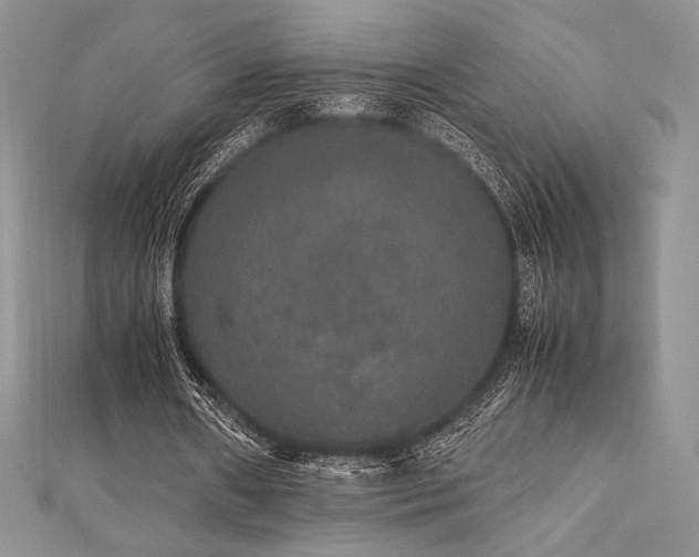 X0000112530482200908171424