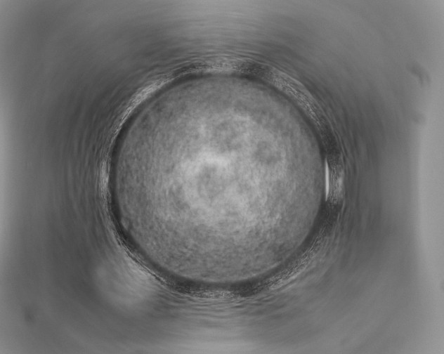 X0000112530483200908171424