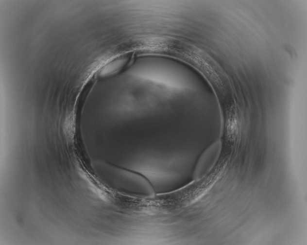 X0000112530484200908171424