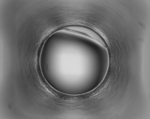 X0000112530485200908171424