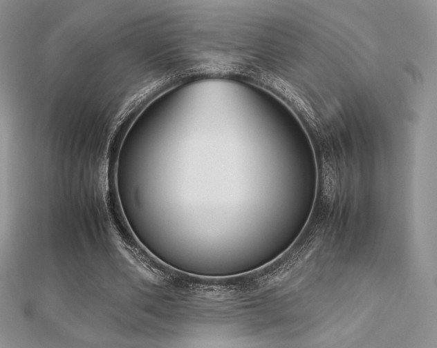 X0000112530486200908171424