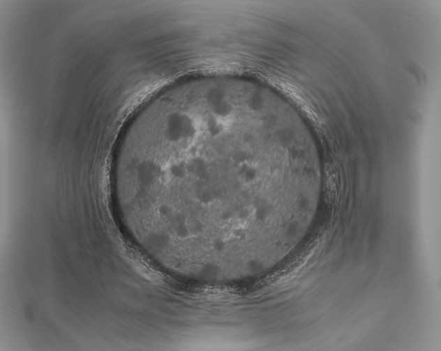 X0000112530487200908171424