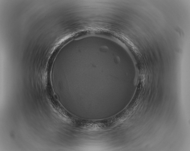 X0000112530488200908171424