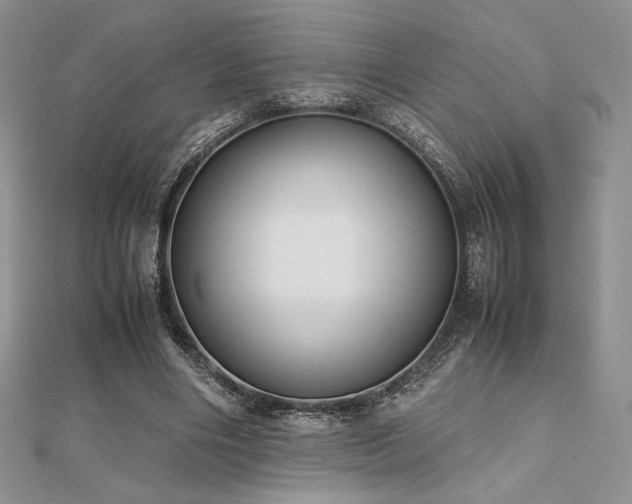 X0000112530490200908171424