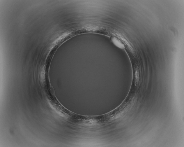 X0000112530492200908171424