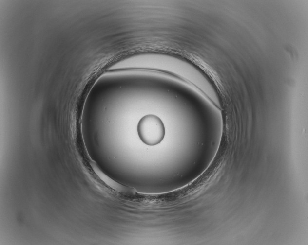 X0000112530493200908171424